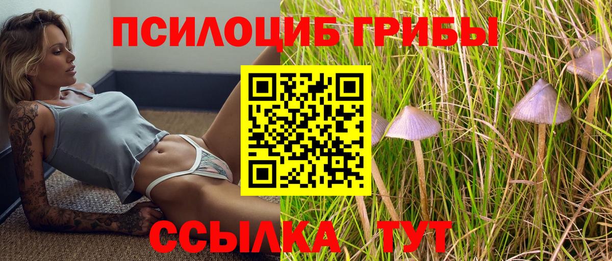 Псилоцибиновые грибы Psilocybine cubensis Волжск