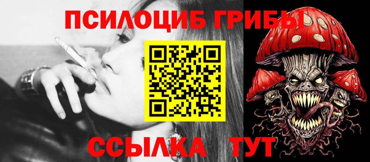Псилоцибиновые грибы Magic Shrooms  купить наркотик  Волжск  Псилоцибиновые грибы Psilocybe  Вход с VPN 